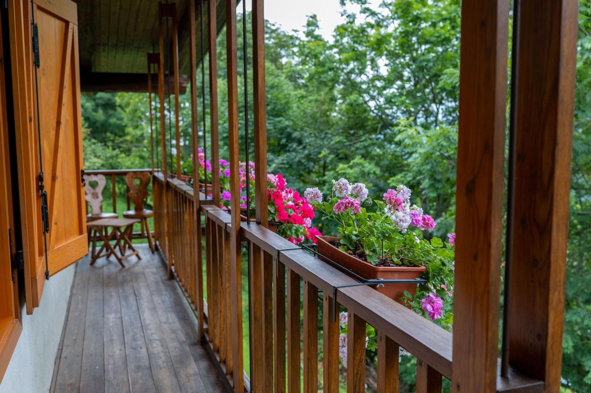 La Finestra Sul Monviso Apartment Крисоло Екстериор снимка